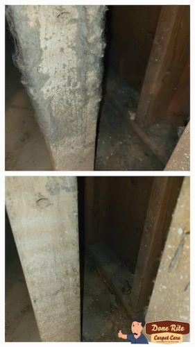 6.-Carpet-Cleaning-Service-Thousand-Oaks-CA (1) (1) (1) (1) (1)