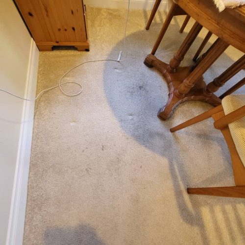 7.-Carpet-Cleaning-Service-Thousand-Oaks-CA