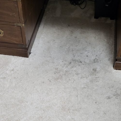 76.-Carpet-Cleaning-Service-Thousand-Oaks-CA