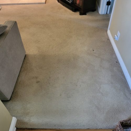 77.-Carpet-Cleaning-Service-Thousand-Oaks-CA