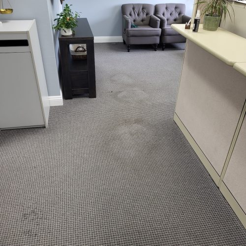 78.-Carpet-Cleaning-Service-Thousand-Oaks-CA