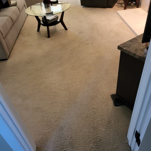 82.-Carpet-Cleaning-Service-Thousand-Oaks-CA
