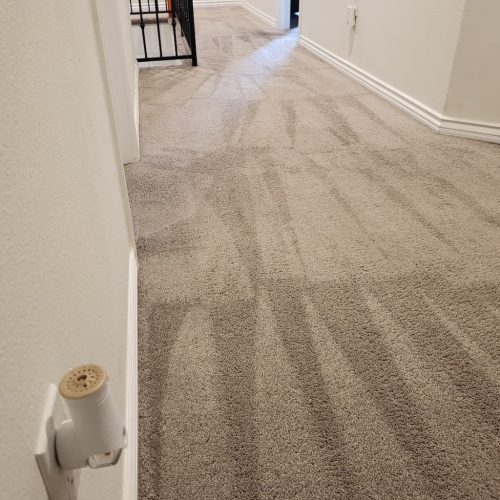 Carpet-Cleaning-Service-Thousand-Oaks-CA-1.26.26-7