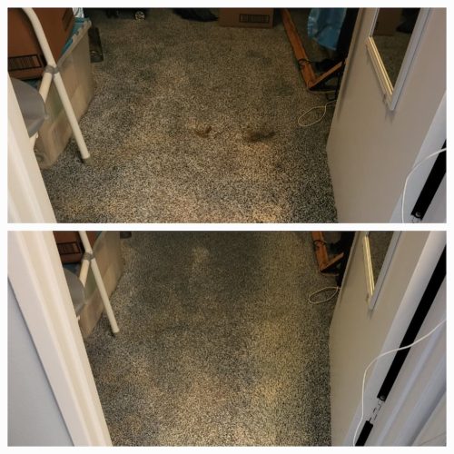Carpet-Cleaning-Service-Thousand-Oaks-CA-12.8.25-2