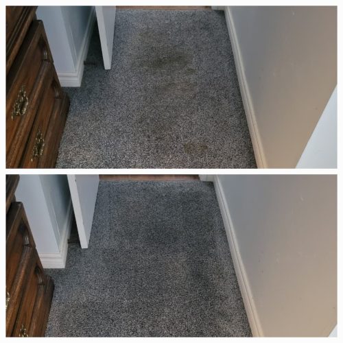 Carpet-Cleaning-Service-Thousand-Oaks-CA-12.8.25-3
