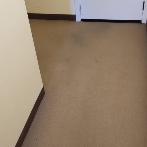 Carpet-Cleaning-Service-Thousand-Oaks-CA-125