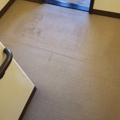 Carpet-Cleaning-Service-Thousand-Oaks-CA-131