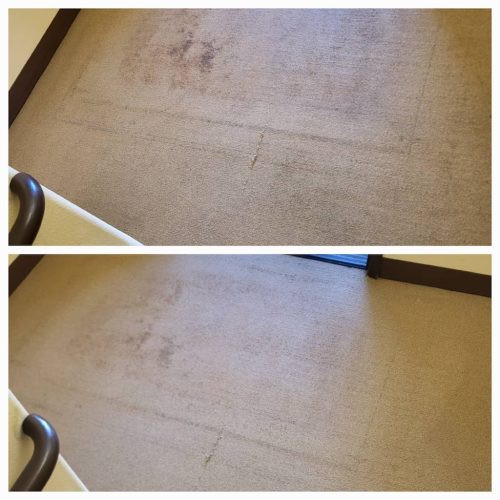 Carpet-Cleaning-Service-Thousand-Oaks-CA-133