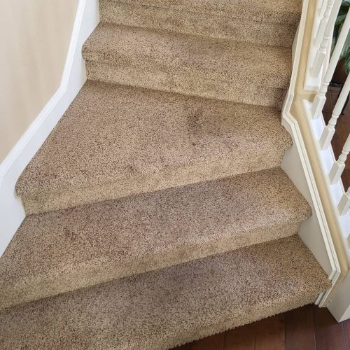 Carpet-Cleaning-Service-Thousand-Oaks-CA-135
