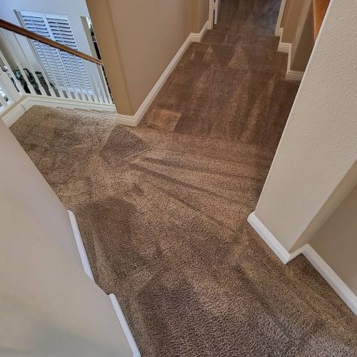 Carpet-Cleaning-Service-Thousand-Oaks-CA-139