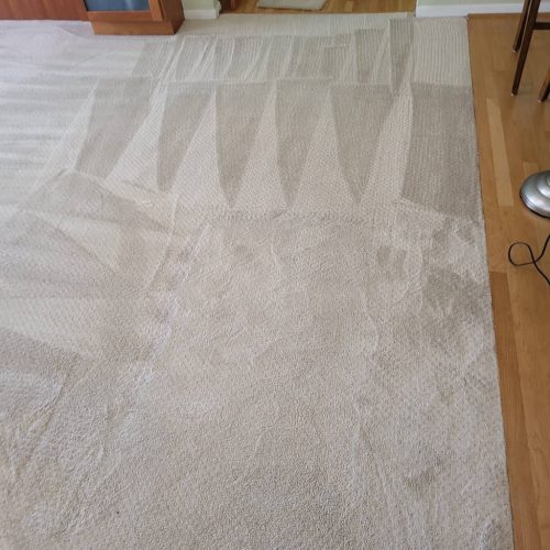 Carpet-Cleaning-Service-Thousand-Oaks-CA-150