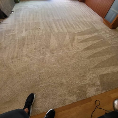 Carpet-Cleaning-Service-Thousand-Oaks-CA-151