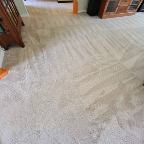 Carpet-Cleaning-Service-Thousand-Oaks-CA-152