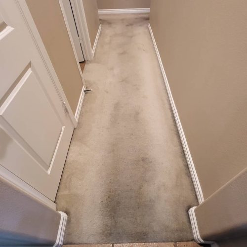 Carpet-Cleaning-Service-Thousand-Oaks-CA-174
