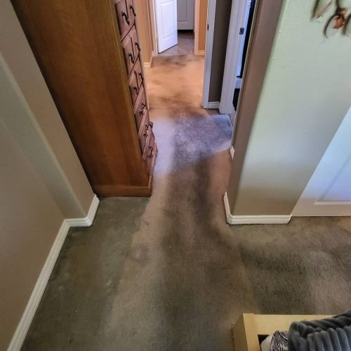 Carpet-Cleaning-Service-Thousand-Oaks-CA-175