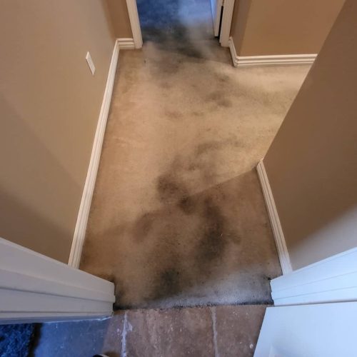 Carpet-Cleaning-Service-Thousand-Oaks-CA-176