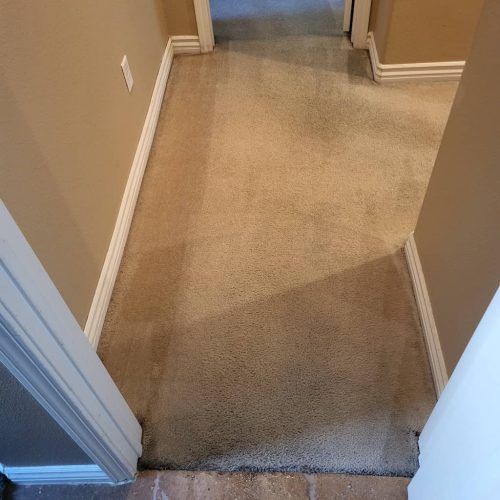 Carpet-Cleaning-Service-Thousand-Oaks-CA-183