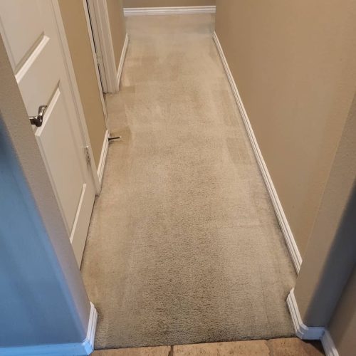 Carpet-Cleaning-Service-Thousand-Oaks-CA-184