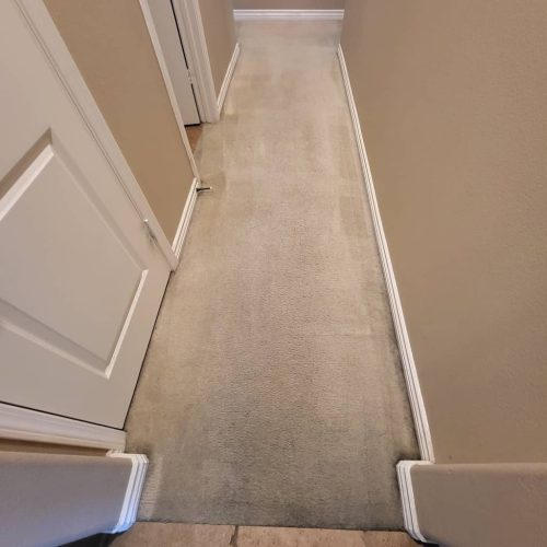 Carpet-Cleaning-Service-Thousand-Oaks-CA-185