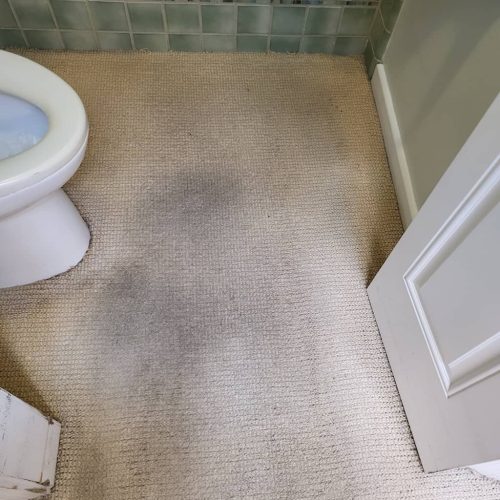 Carpet-Cleaning-Service-Thousand-Oaks-CA-187