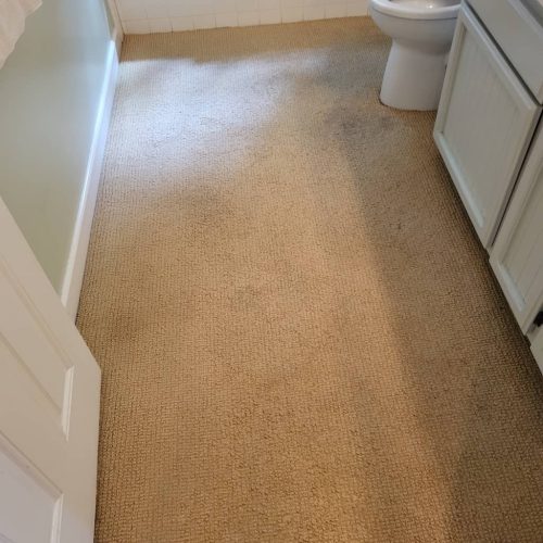 Carpet-Cleaning-Service-Thousand-Oaks-CA-189