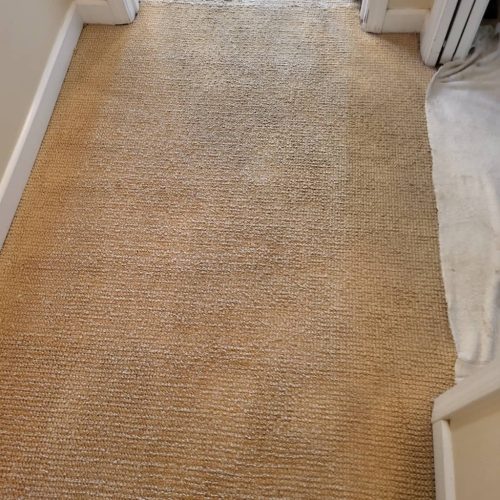Carpet-Cleaning-Service-Thousand-Oaks-CA-191