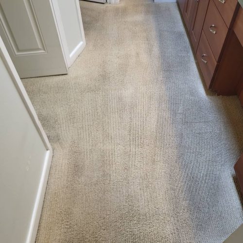 Carpet-Cleaning-Service-Thousand-Oaks-CA-192
