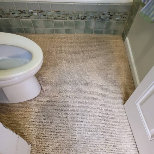 Carpet-Cleaning-Service-Thousand-Oaks-CA-193