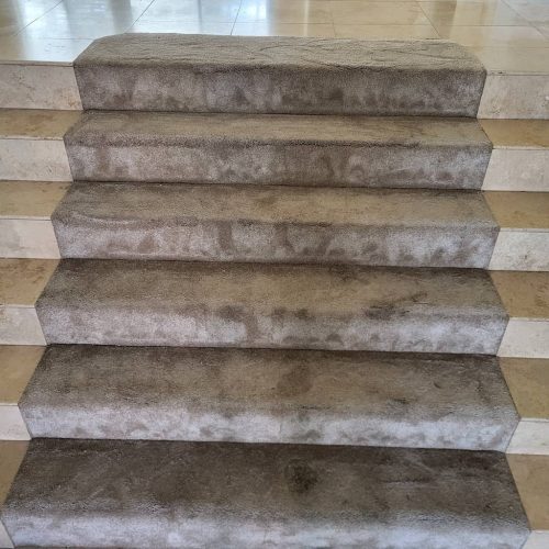 Carpet-Cleaning-Service-Thousand-Oaks-CA-199