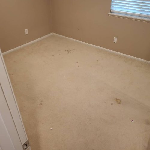 Carpet-Cleaning-Service-Thousand-Oaks-CA-202
