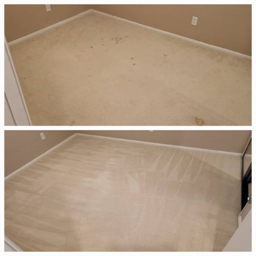 Carpet-Cleaning-Service-Thousand-Oaks-CA-212