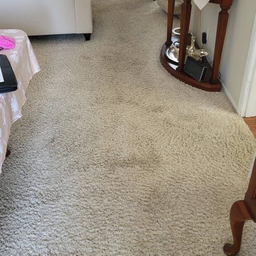 Carpet-Cleaning-Service-Thousand-Oaks-CA-216