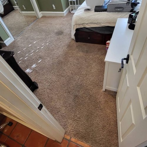Carpet-Cleaning-Service-Thousand-Oaks-CA-219