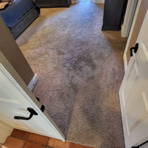 Carpet-Cleaning-Service-Thousand-Oaks-CA-222