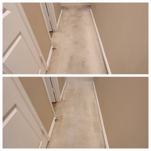 Carpet-Cleaning-Service-Thousand-Oaks-CA-230