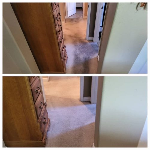 Carpet-Cleaning-Service-Thousand-Oaks-CA-231