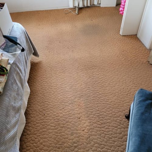 Carpet-Cleaning-Service-Thousand-Oaks-CA-24