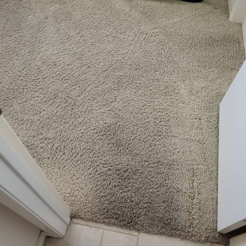 Carpet-Cleaning-Service-Thousand-Oaks-CA-3-10-26-001