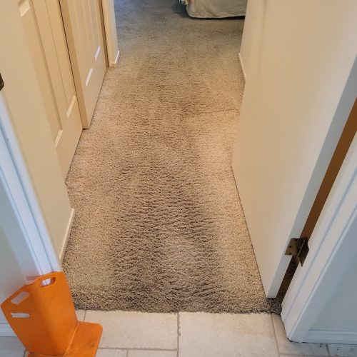 Carpet-Cleaning-Service-Thousand-Oaks-CA-3-10-26-002