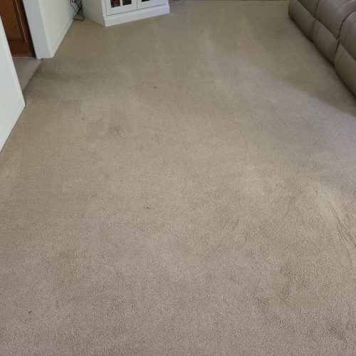 Carpet-Cleaning-Service-Thousand-Oaks-CA-3-10-26-003