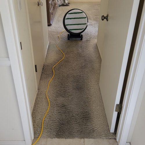 Carpet-Cleaning-Service-Thousand-Oaks-CA-3-10-26-004