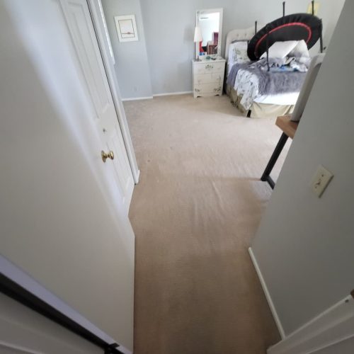 Carpet-Cleaning-Service-Thousand-Oaks-CA-3-10-26-005