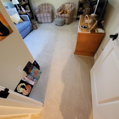 Carpet-Cleaning-Service-Thousand-Oaks-CA-3-10-26-007