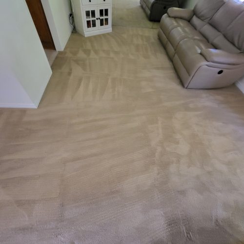 Carpet-Cleaning-Service-Thousand-Oaks-CA-362 (1)