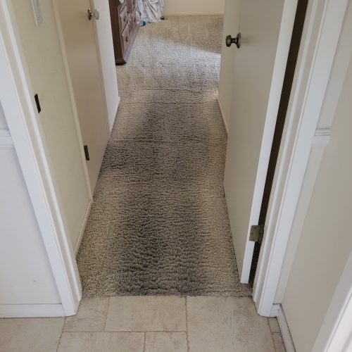 Carpet-Cleaning-Service-Thousand-Oaks-CA-364 (1)