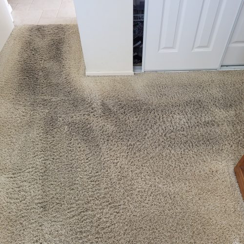 Carpet-Cleaning-Service-Thousand-Oaks-CA-365 (1)