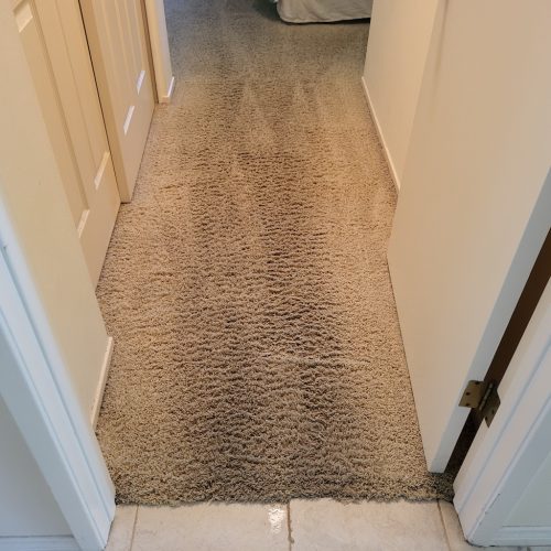 Carpet-Cleaning-Service-Thousand-Oaks-CA-366 (1)