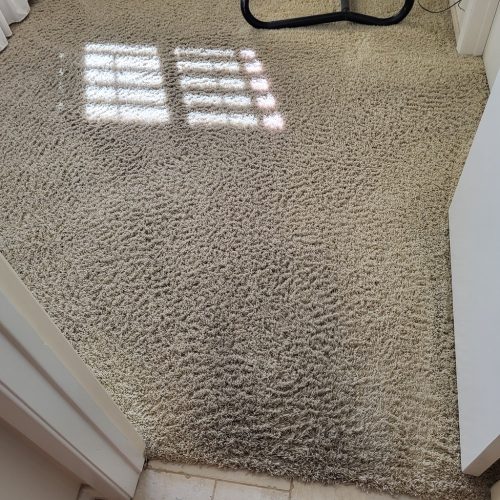 Carpet-Cleaning-Service-Thousand-Oaks-CA-367 (1)