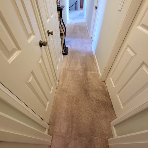 Carpet-Cleaning-Service-Thousand-Oaks-CA-383 (1)