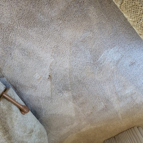 Carpet-Cleaning-Service-Thousand-Oaks-CA-386 (1)